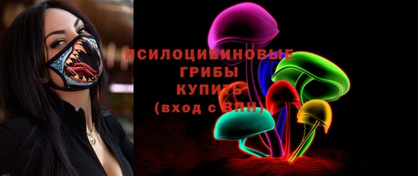 метадон Белокуриха