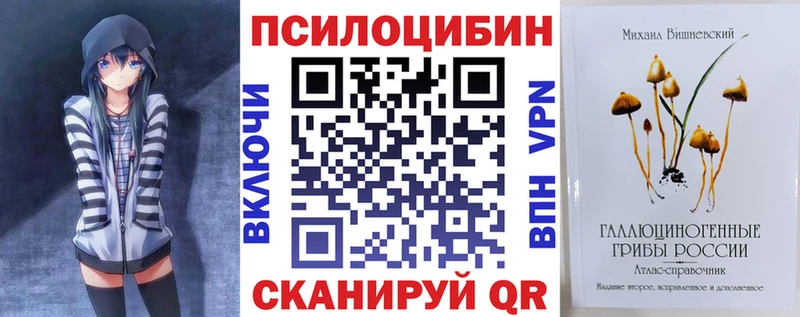 Галлюциногенные грибы Psilocybe  omg зеркало  Княгинино 